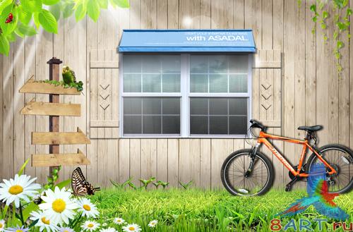 Sources - Bicycles