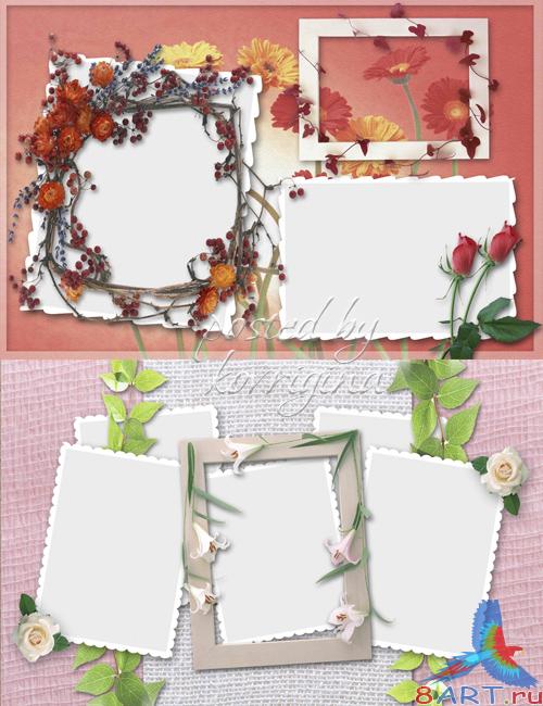 "Цветочный альбом", деление 6 ("Flower Album", Part 6) "Цветочный альбом", деление 6 ("Flower Album", Part 6)