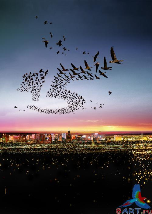 Birds over a night city psd Birds over a night city psd
