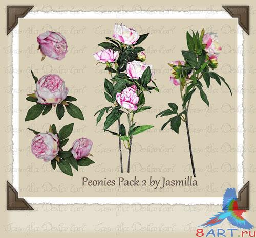 PSD Template - Peonies #2